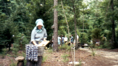 Woman Washing